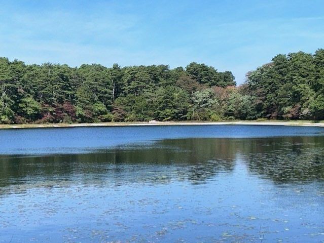 222 Buck Island Unit 54, Yarmouth, MA 02673