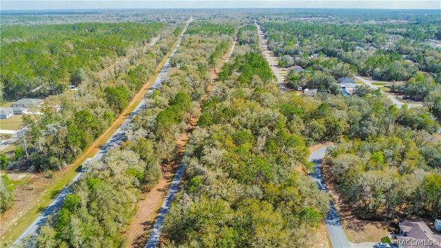 8743 N Sandree Drive, Citrus Springs, FL 34434