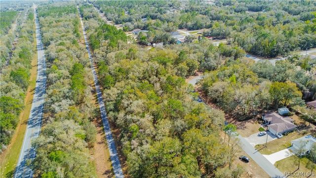 8743 N Sandree Drive, Citrus Springs, FL 34434