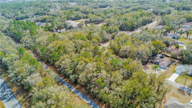 8743 N Sandree Drive, Citrus Springs, FL 34434