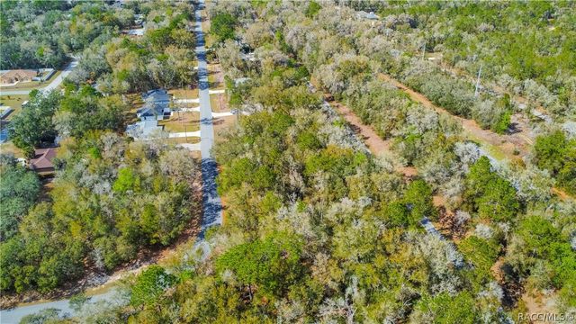 8743 N Sandree Drive, Citrus Springs, FL 34434