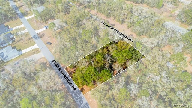 8743 N Sandree Drive, Citrus Springs, FL 34434