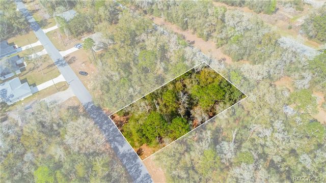 8743 N Sandree Drive, Citrus Springs, FL 34434