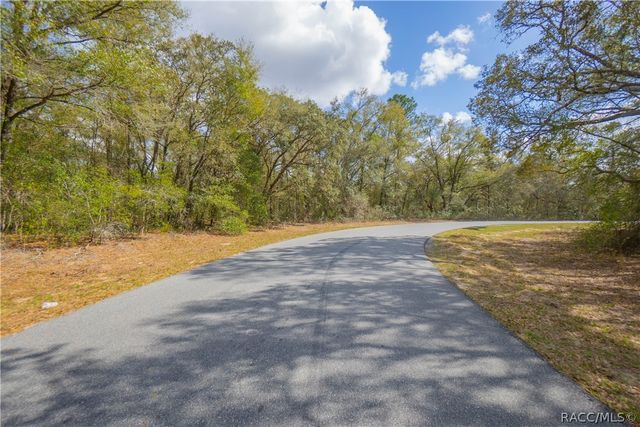 8743 N Sandree Drive, Citrus Springs, FL 34434