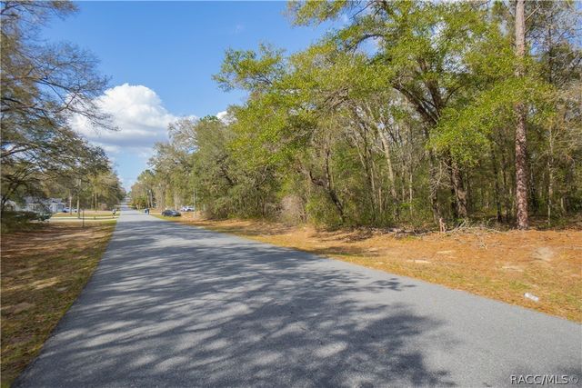 8743 N Sandree Drive, Citrus Springs, FL 34434