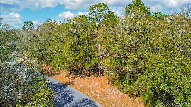 8743 N Sandree Drive, Citrus Springs, FL 34434