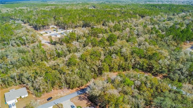 8743 N Sandree Drive, Citrus Springs, FL 34434