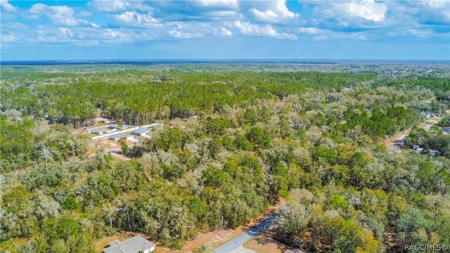 8743 N Sandree Drive, Citrus Springs, FL 34434