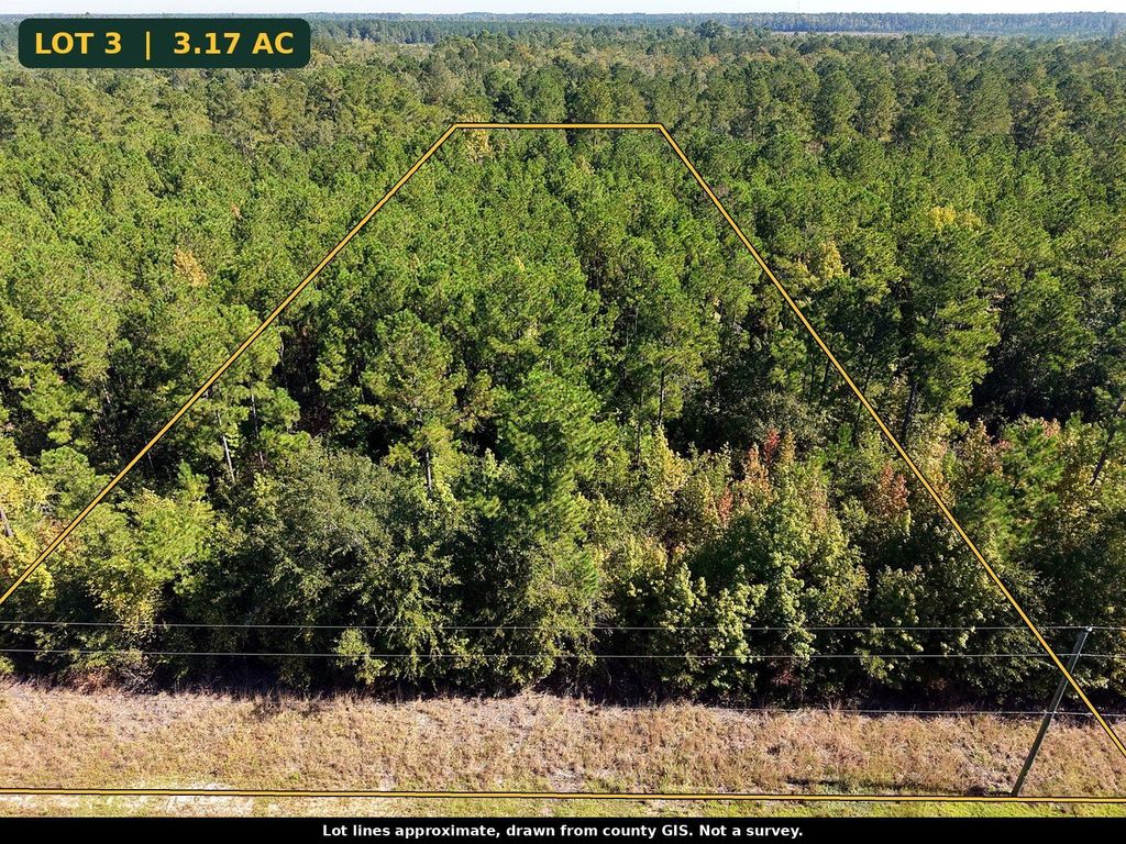 TBD Bellaire Dr., Nichols, SC 29581 — photo 4