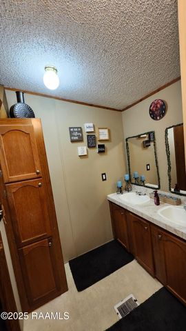 205 Tournament Drive, Carencro, LA 70520