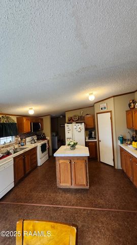 205 Tournament Drive, Carencro, LA 70520