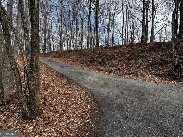 20 ACRES Burnt Leaf Lane, Hayesville, NC 28904