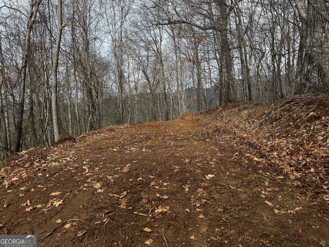 20 ACRES Burnt Leaf Lane, Hayesville, NC 28904