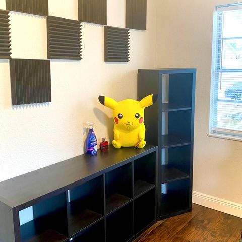 2007 BALFOUR CIRCLE, Tampa, FL 33619