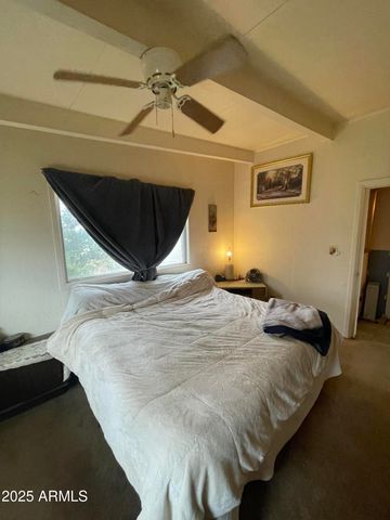 9301 E Faith Avenue, Hereford, AZ 85615