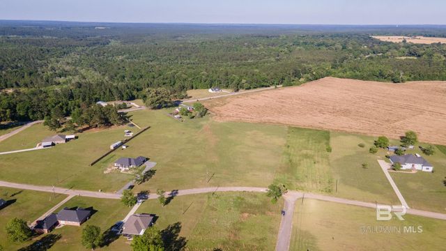 0 Lanier Lane, Chunchula, AL 36521
