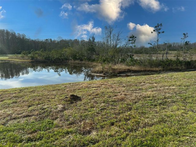 11450 CRESCENT DEER DRIVE, Land O Lakes, FL 34638