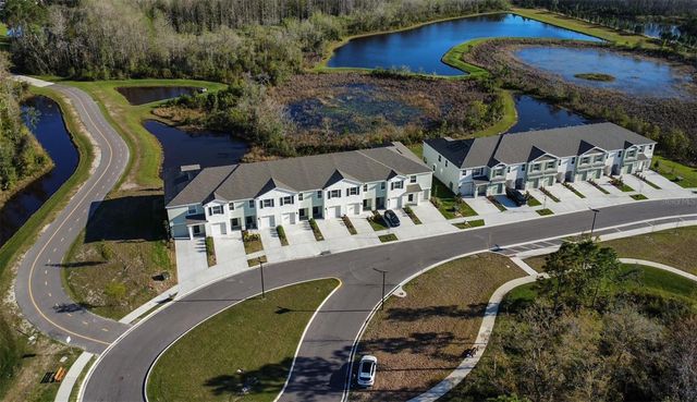 11450 CRESCENT DEER DRIVE, Land O Lakes, FL 34638