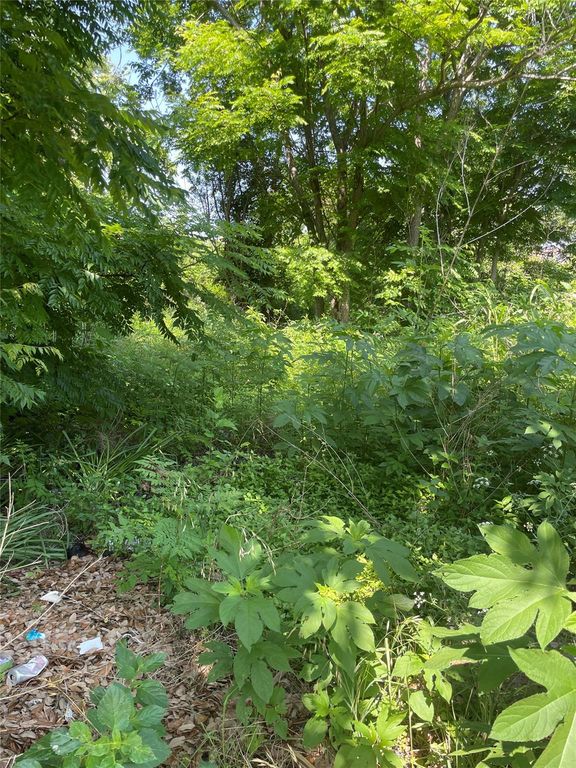 3507 Kimball Street, Houston, TX 77026