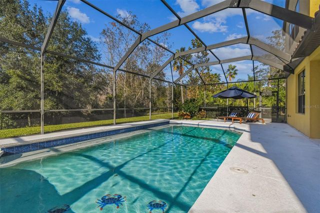 3811 IVYDALE COURT, Land O Lakes, FL 34638