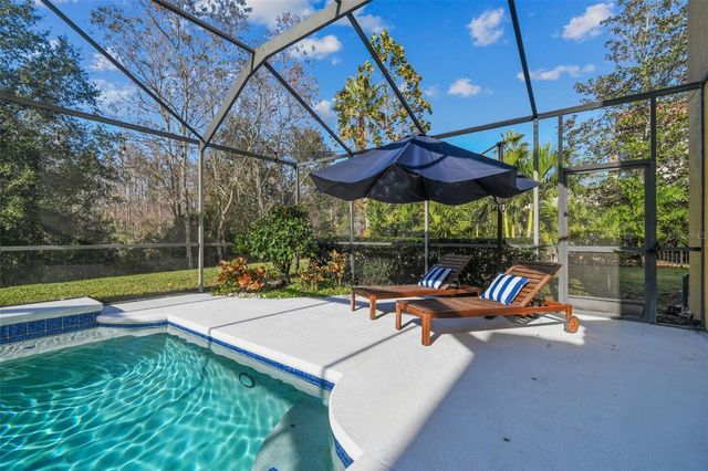 3811 IVYDALE COURT, Land O Lakes, FL 34638