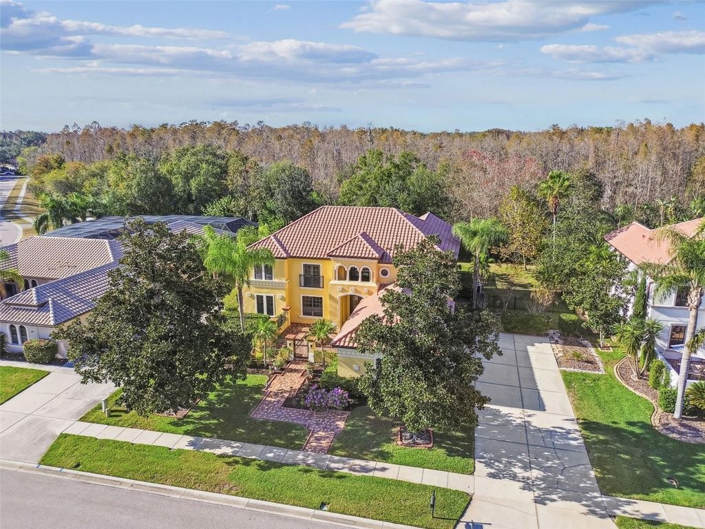 3811 IVYDALE COURT, Land O Lakes, FL 34638