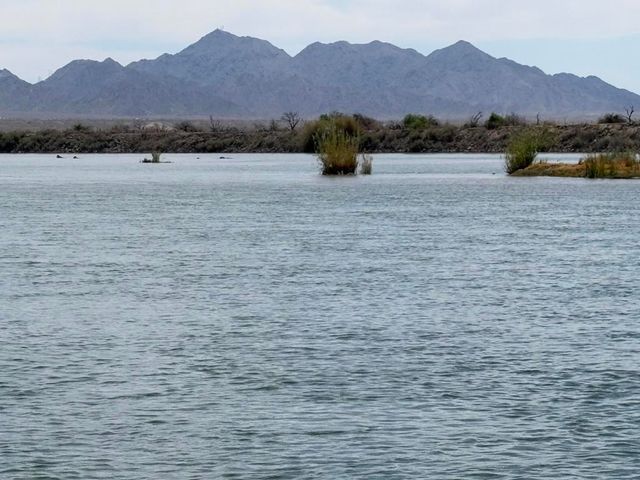 2674 Colorado River Road, Blythe, CA 92225