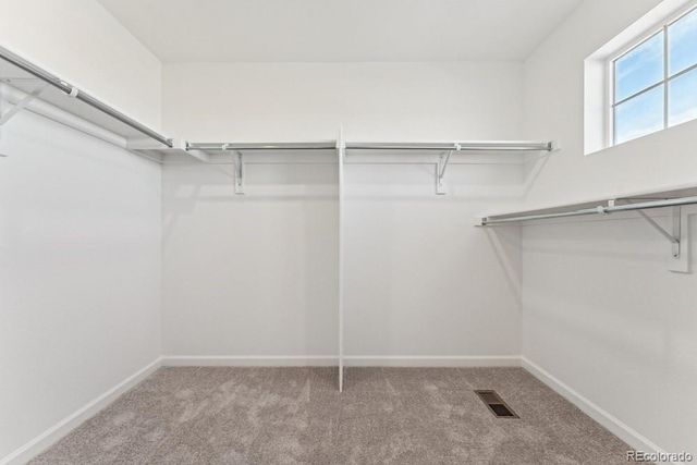 8732 Whiteclover Street, Littleton, CO 80125