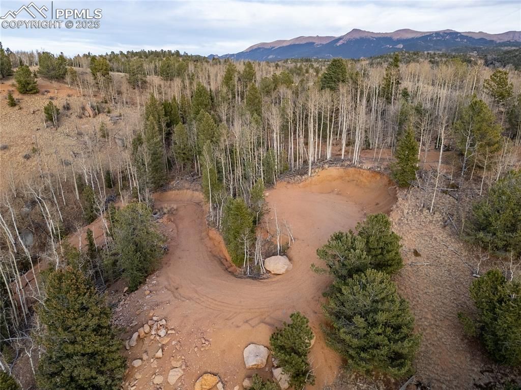 276 Granite Lane, Cripple Creek, CO 80813 — photo 3