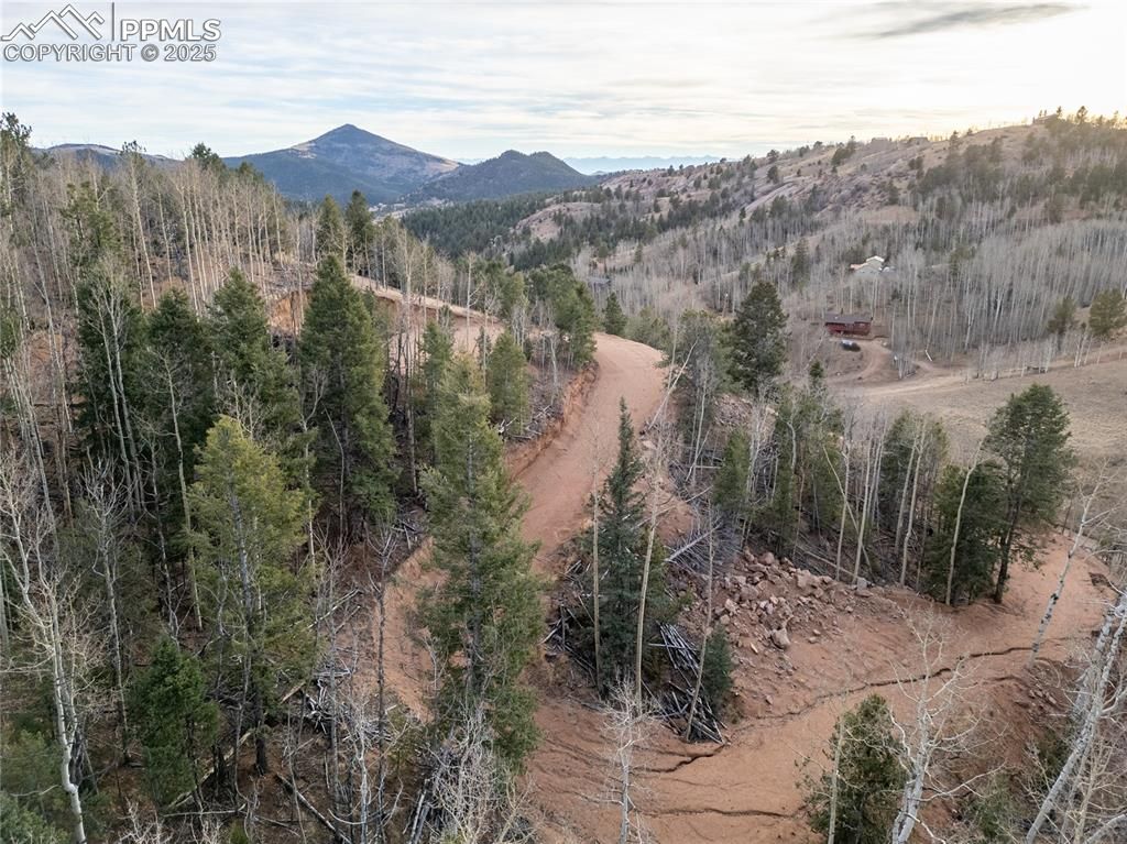 276 Granite Lane, Cripple Creek, CO 80813 — photo 4