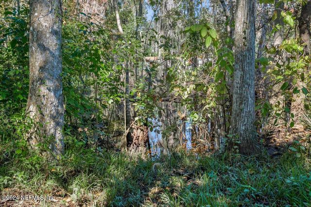 413 RIVER BIRCH Lane, Fleming Island, FL 32003