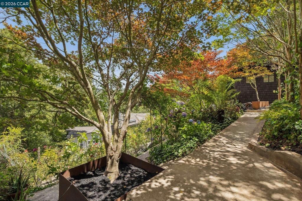 Image 56 of property listing at 6 Monte Vista Rd, Orinda, CA 94563