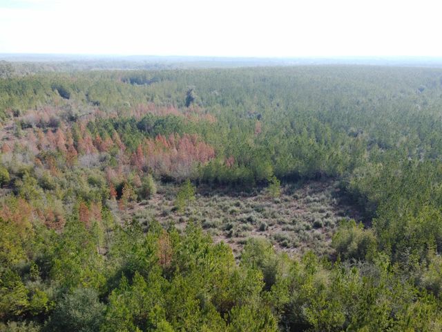 xxx NW Church Road, Altha, FL 32421