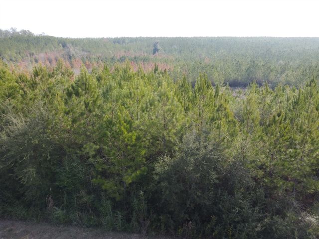 xxx NW Church Road, Altha, FL 32421