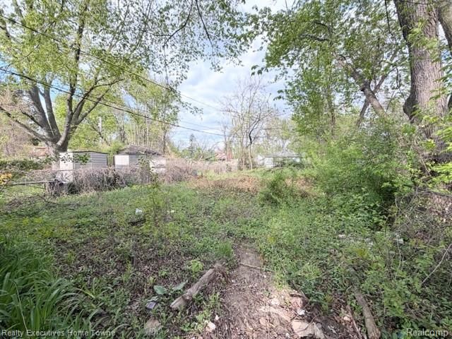 12906 Faust Avenue, Detroit, MI 48223