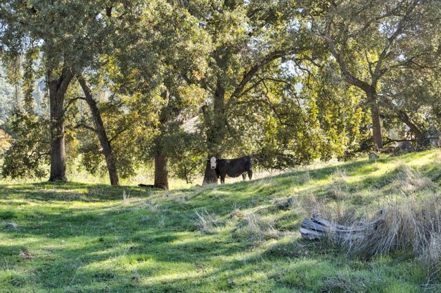 5700 Semor Dr, Shingle Springs, CA 95682