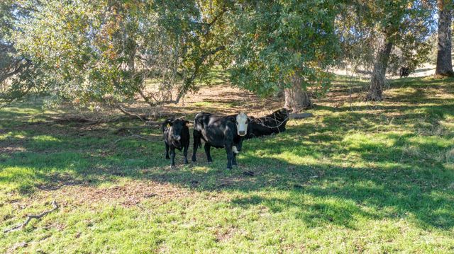 5700 Semor Dr, Shingle Springs, CA 95682