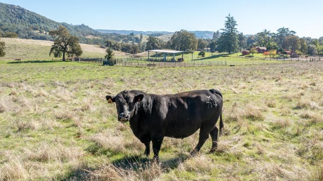 5700 Semor Dr, Shingle Springs, CA 95682