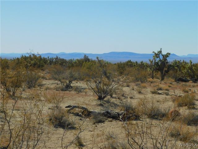UNK E Bighorn Drive, Yucca, AZ 86438