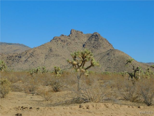 UNK E Bighorn Drive, Yucca, AZ 86438