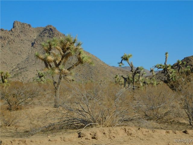 UNK E Bighorn Drive, Yucca, AZ 86438