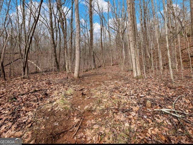 206 Oakridge Drive, Cleveland, GA 30528