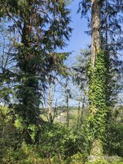 0 Ninth Avenue, Aberdeen, WA 98520