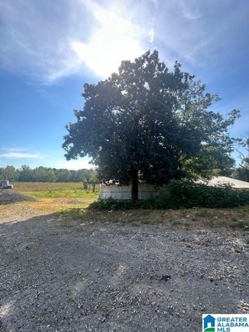 3109 SUNRISE LANE, Birmingham, AL 35242