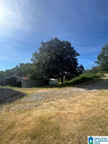 3109 SUNRISE LANE, Birmingham, AL 35242