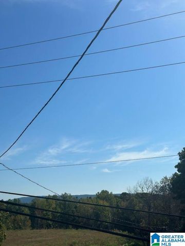 3109 SUNRISE LANE, Birmingham, AL 35242