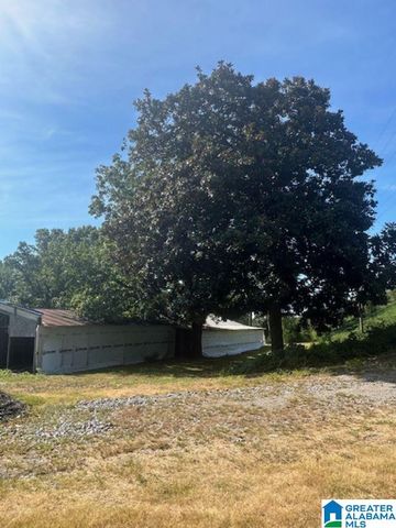 3109 SUNRISE LANE, Birmingham, AL 35242