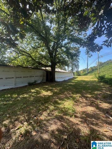 3109 SUNRISE LANE, Birmingham, AL 35242