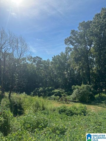 3109 SUNRISE LANE, Birmingham, AL 35242