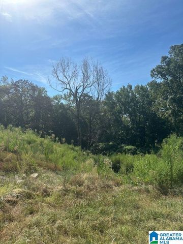 3109 SUNRISE LANE, Birmingham, AL 35242